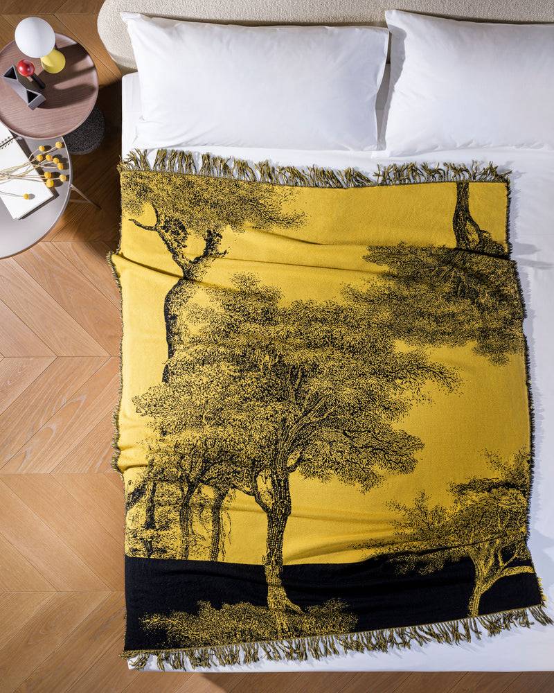 Lanerossi Radici Plaid By Palomba Serafini