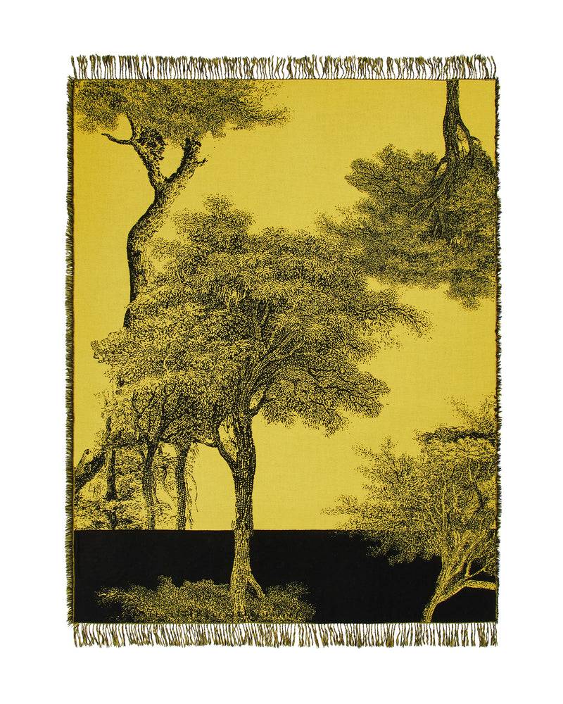 Lanerossi Radici Plaid By Palomba Serafini