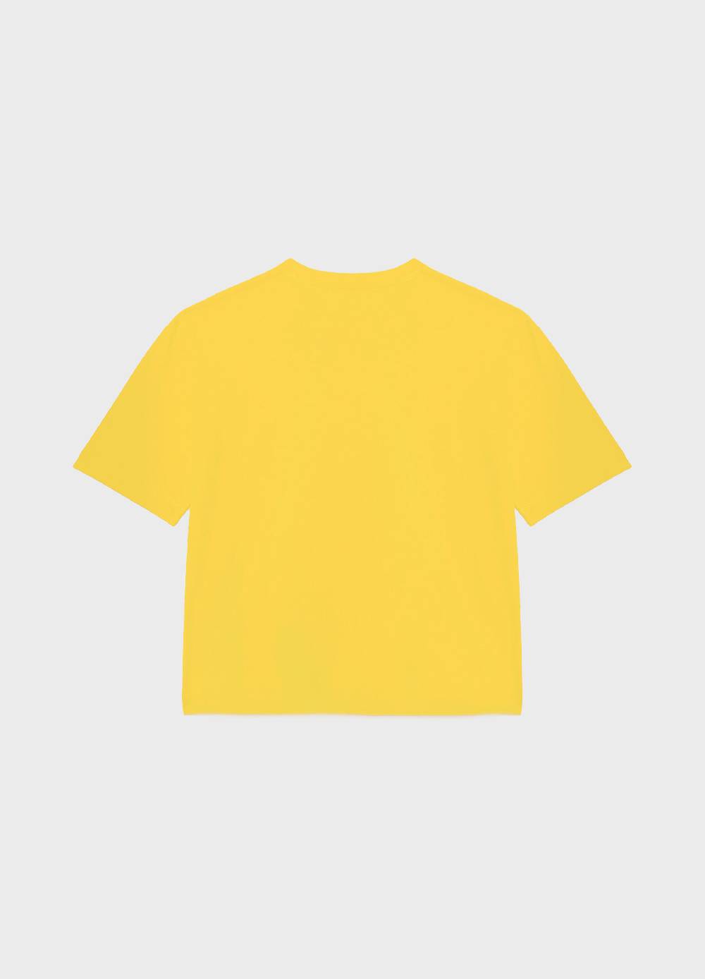 LES COPAINST-shirt Logata In Puro Cotone