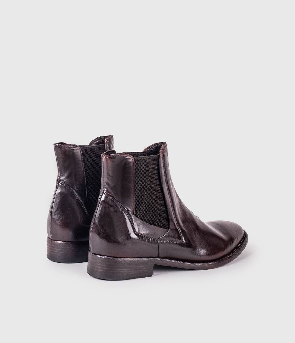 King Tartufoli BROWN COCCO