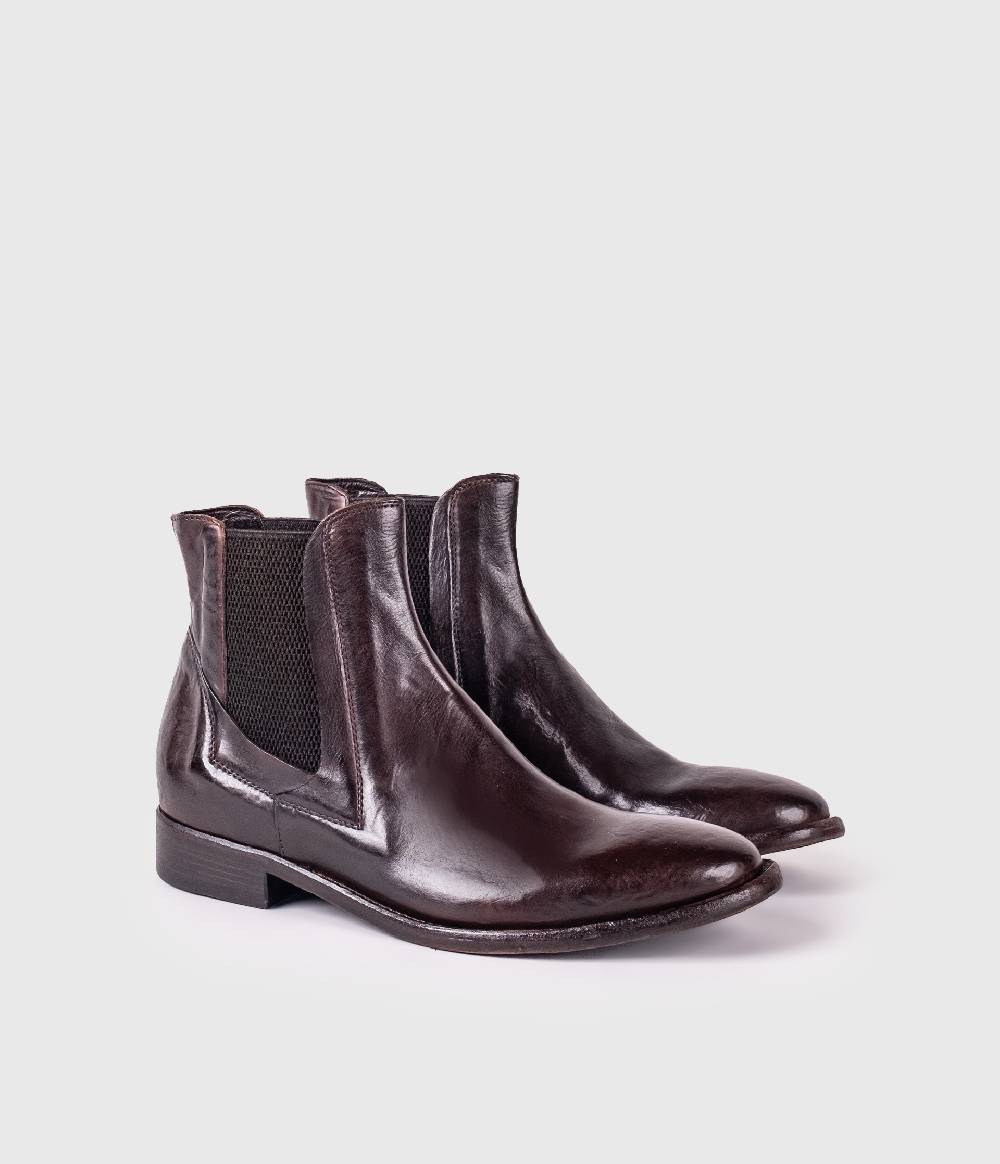 King Tartufoli BROWN COCCO