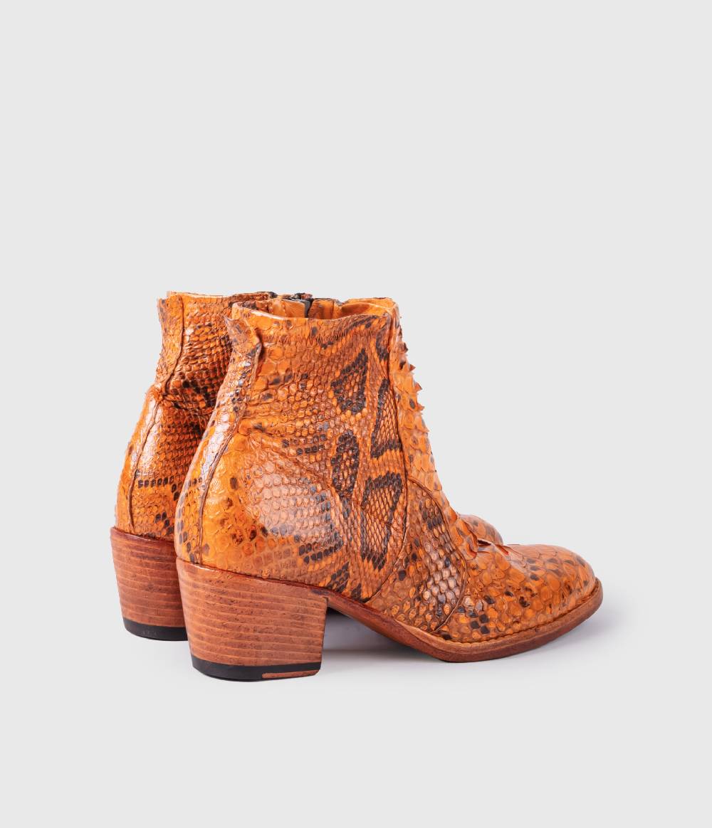 King Tartufoli ORANGE