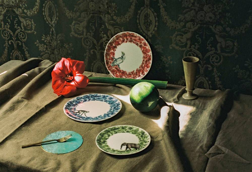 Laboratorio Paravicini Jungle Pappagallo