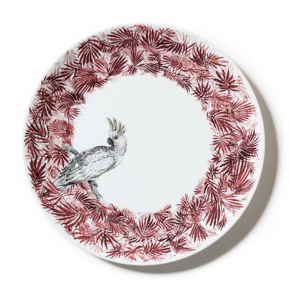 Laboratorio Paravicini Jungle Pappagallo