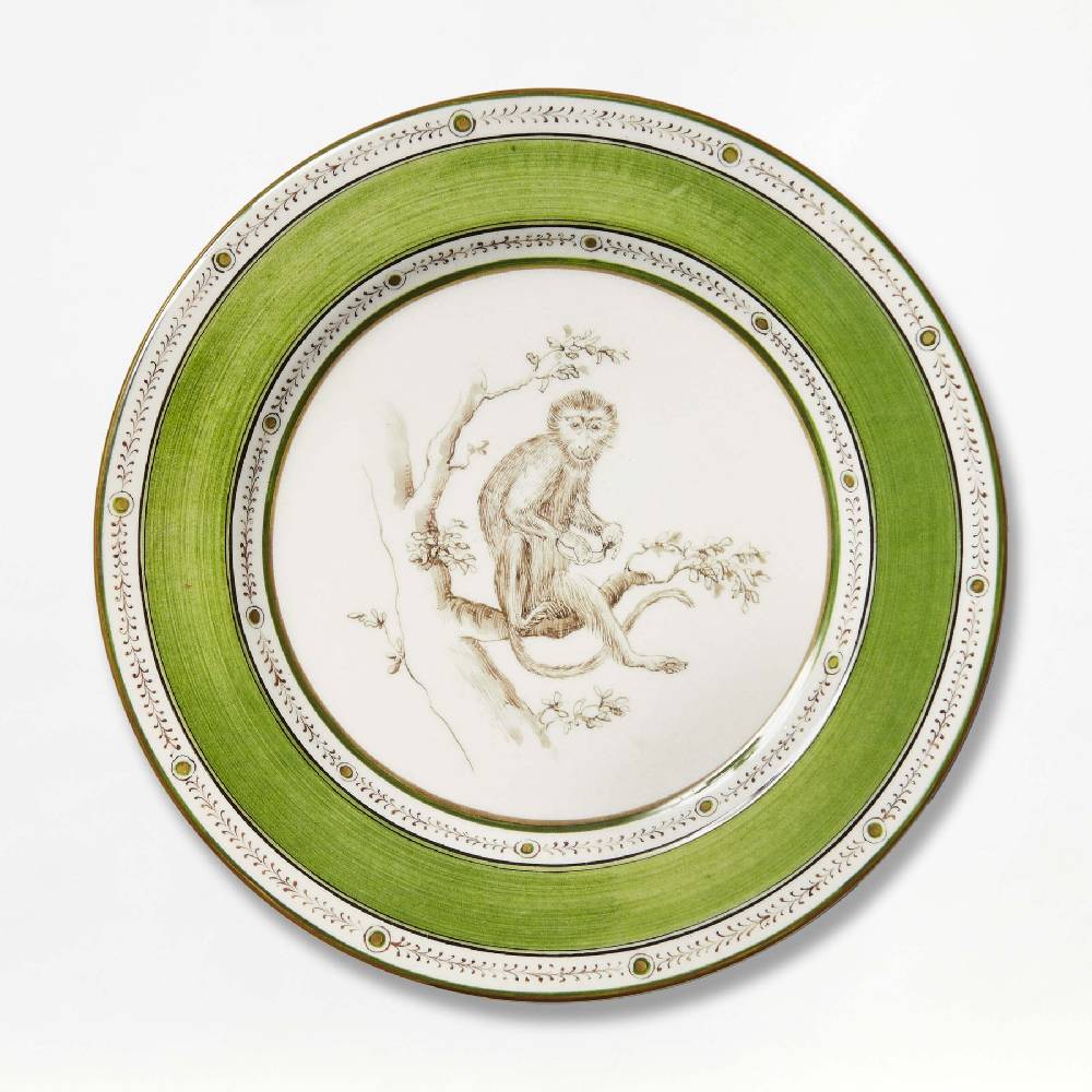 Laboratorio Paravicini Monkey Green 01