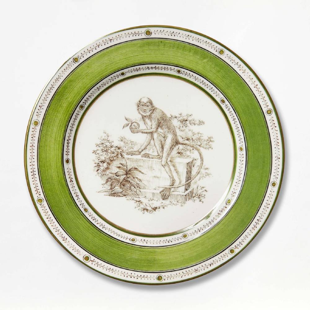 Laboratorio Paravicini Monkey Green 03