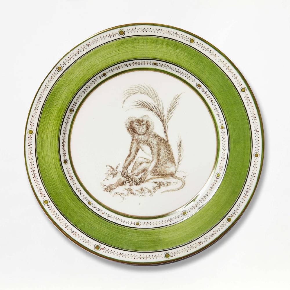 Laboratorio Paravicini Monkey Green 06