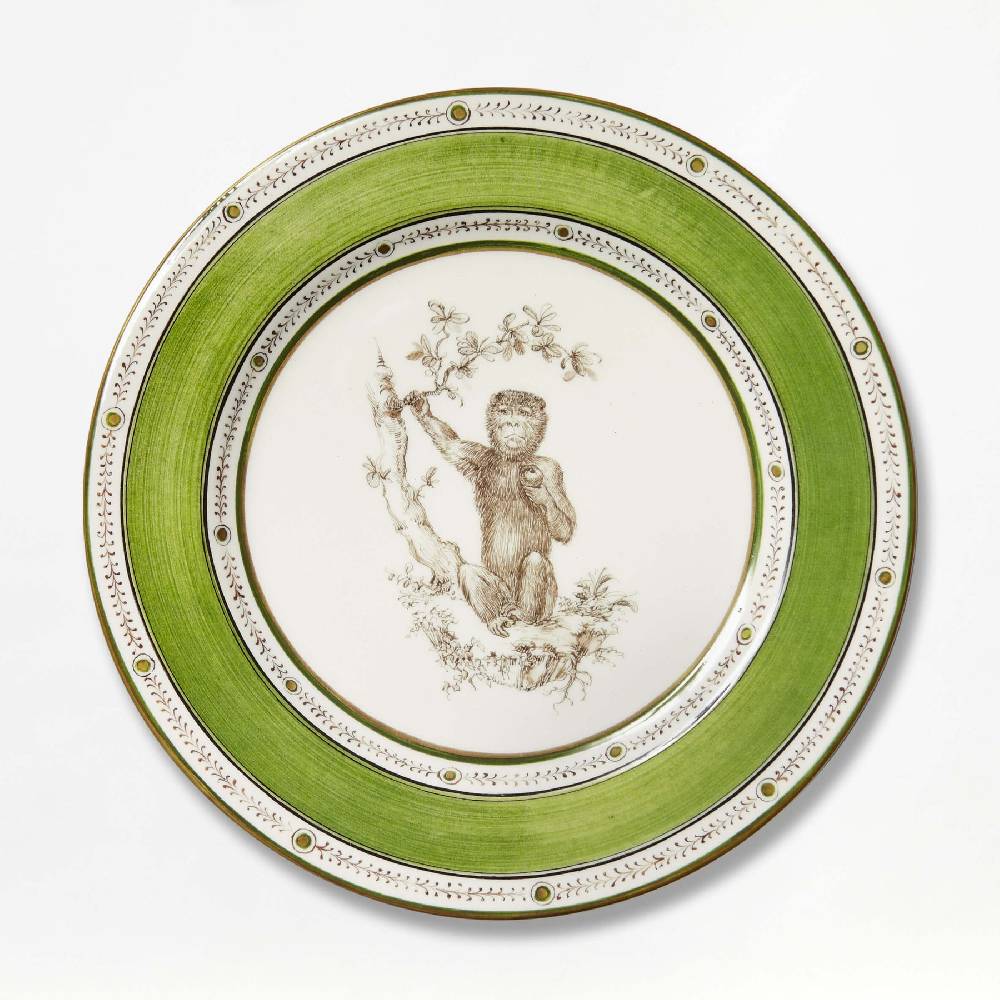 Laboratorio Paravicini Monkey Green 07