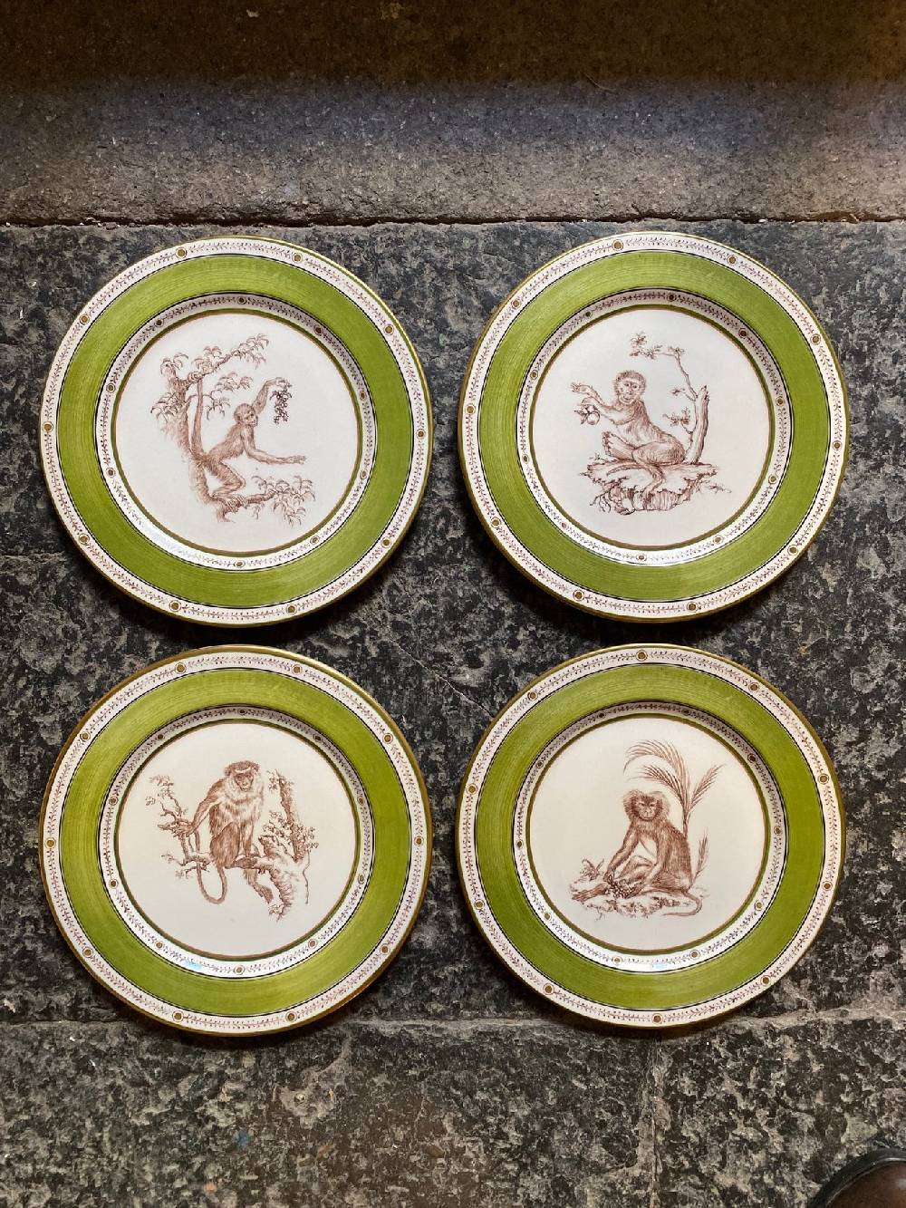 Laboratorio Paravicini Monkey Green 09