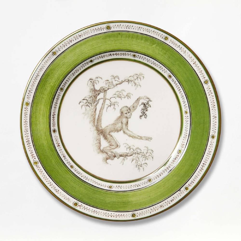 Laboratorio Paravicini Monkey Green 10