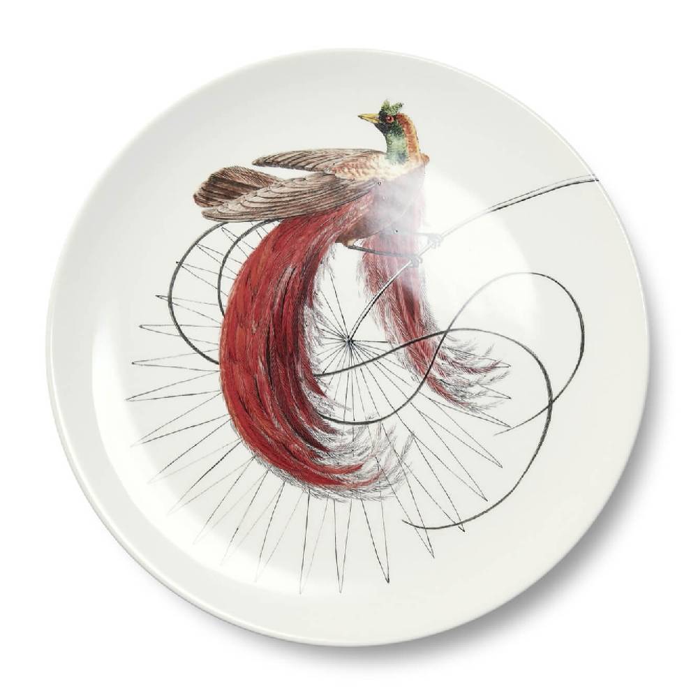 Laboratorio Paravicini Paradise White Brown Red