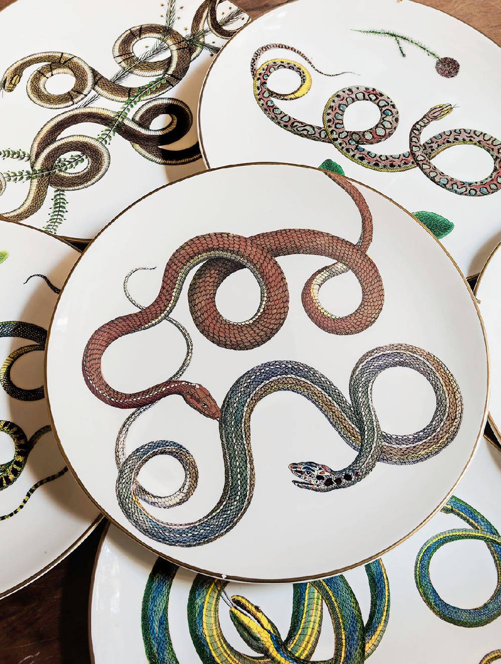 Laboratorio Paravicini Serpi 08