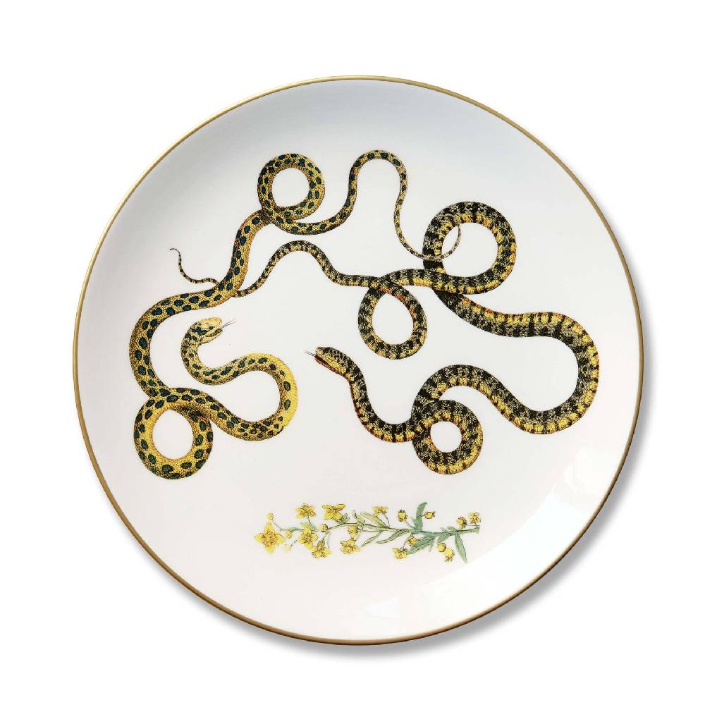 Laboratorio Paravicini Serpi 09