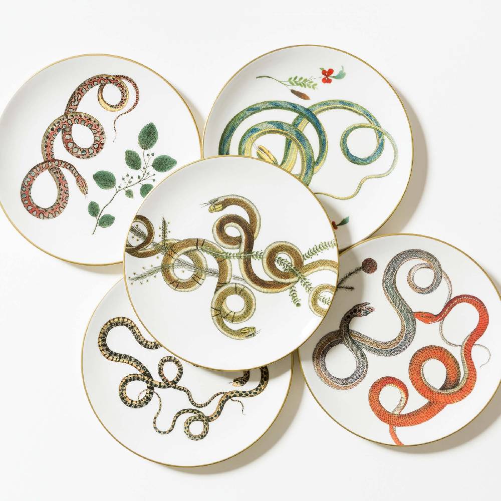 Laboratorio Paravicini Serpi 12