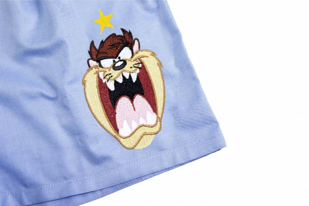 Lc23 LC23 IUTER Looney Tunes AC Taz Boxer