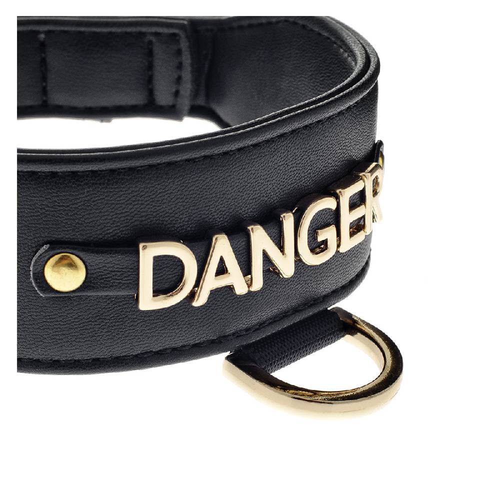 Le Dangerouge Danger Big Dog Collar