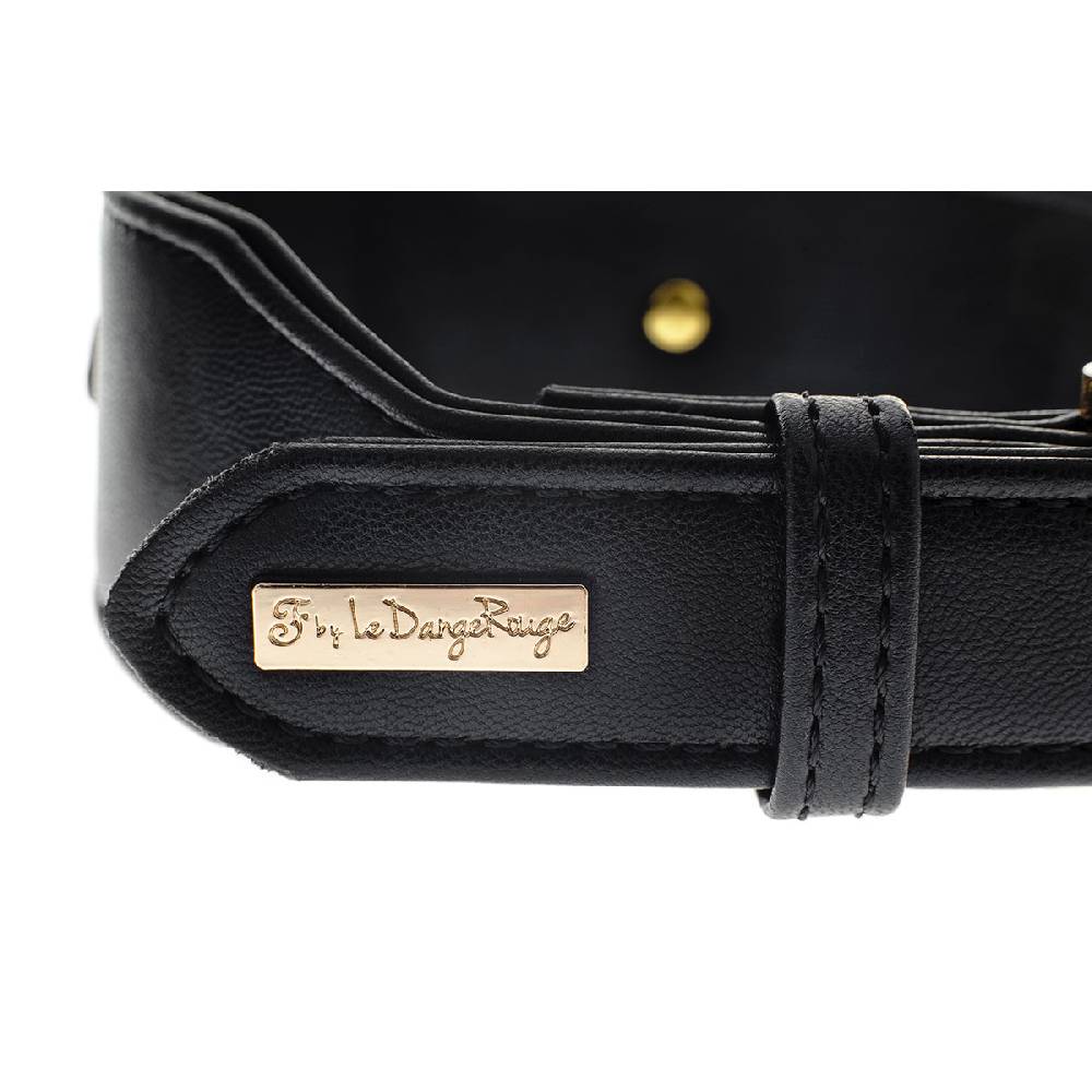 Le Dangerouge Danger Big Dog Collar