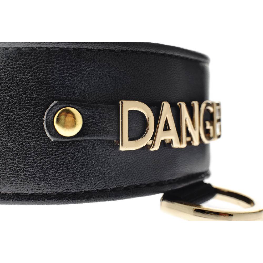 Le Dangerouge Danger Big Dog Collar