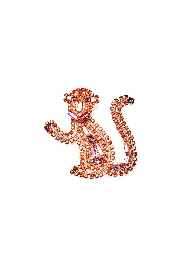 Lisa C Baby Monkey broo