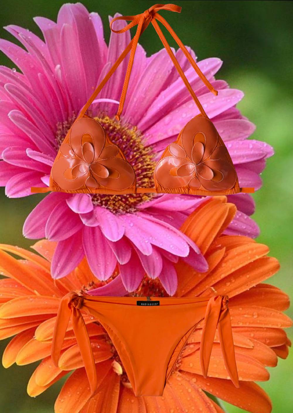 Nadia Guidi 58.b GERBERA