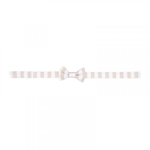 Nanán Papillon A Righe