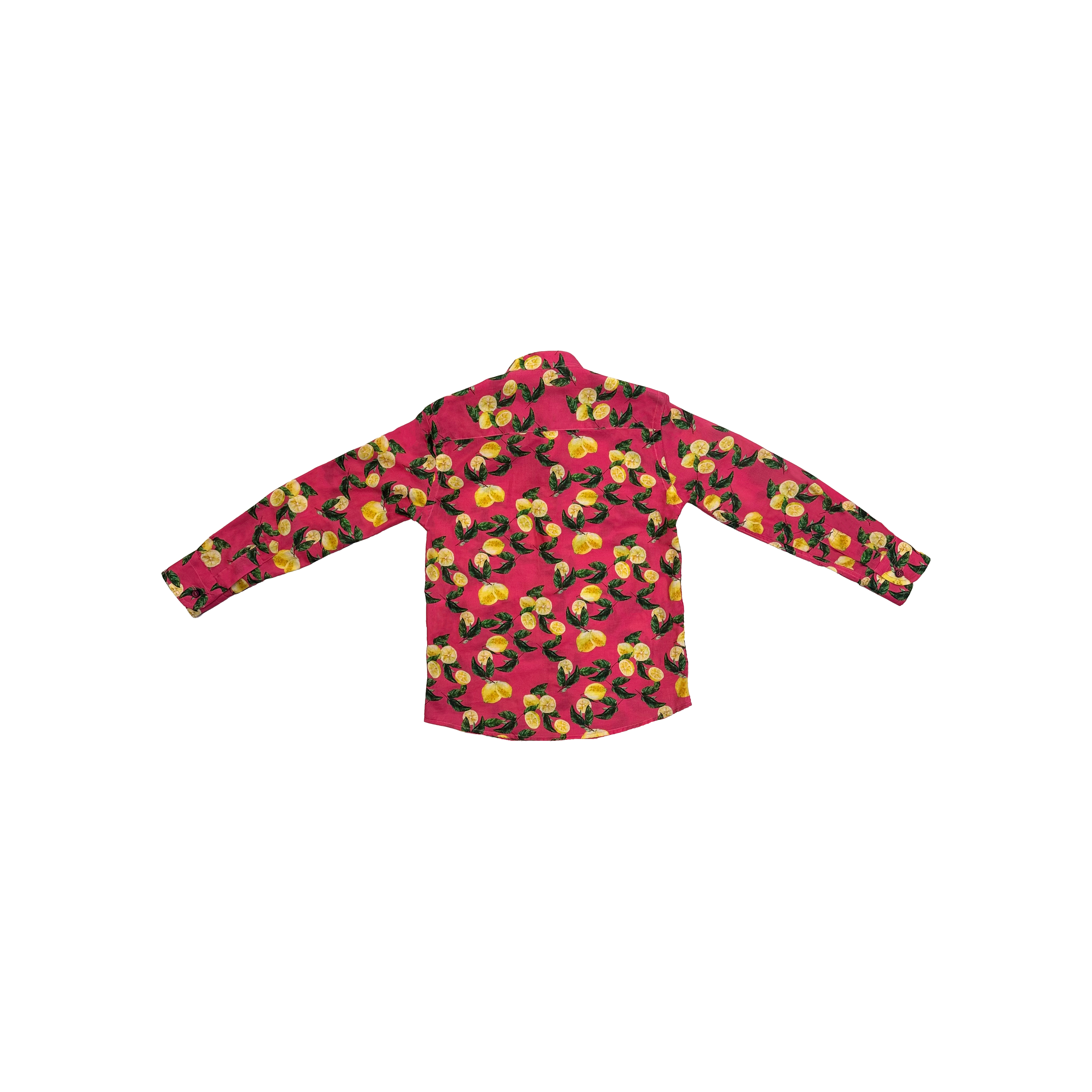 Neill Katter Camicia Limoni