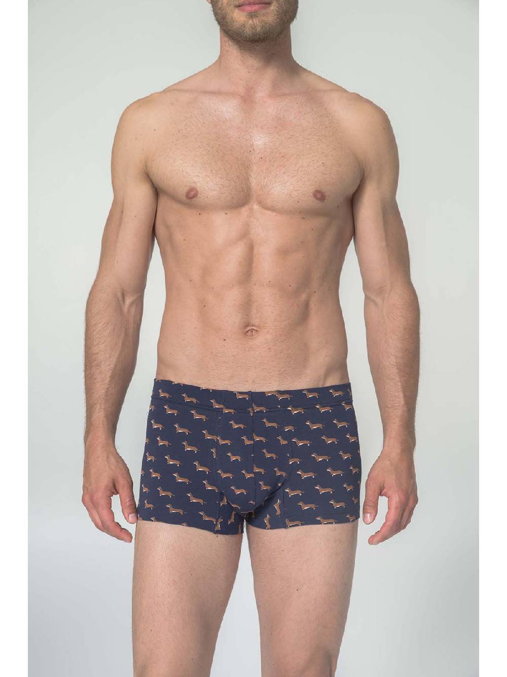 Julipet Boxer In Cotone Bielastico Stampato