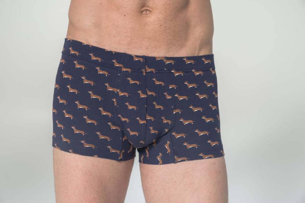 Julipet Boxer In Cotone Bielastico Stampato