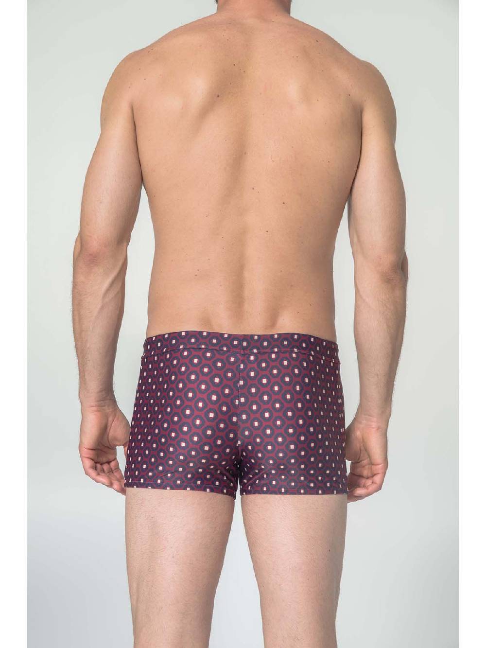 Julipet Boxer Mare In Fantasia