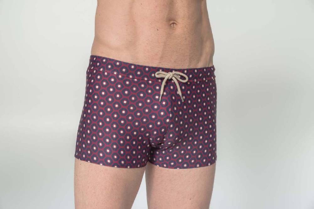 Julipet Boxer Mare In Fantasia