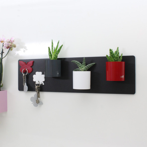 Kalamitica Assortimento Di Cilindri Magnetici Ø 6 Cm