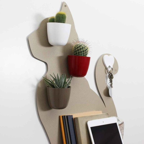 Kalamitica Boule Magnetica Ø 6 Cm Con Haworthia Superfasciata