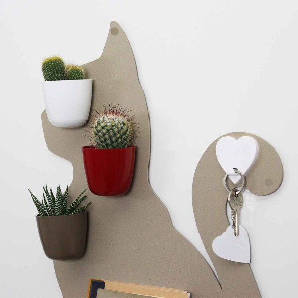 Kalamitica Boule Magnetica Ø 6 Cm Con Notocactus Leninghausii