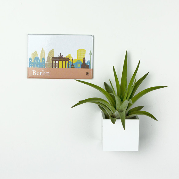 Kalamitica Calamita BERLINO e Cubo con Tillandsia Velutina