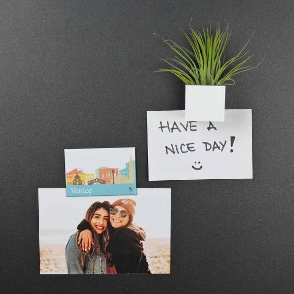 Kalamitica Calamita VENEZIA E Cubo Con Tillandsia Ionantha