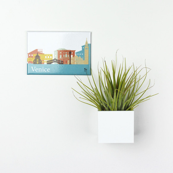 Kalamitica Calamita VENEZIA e Cubo con Tillandsia Ionantha