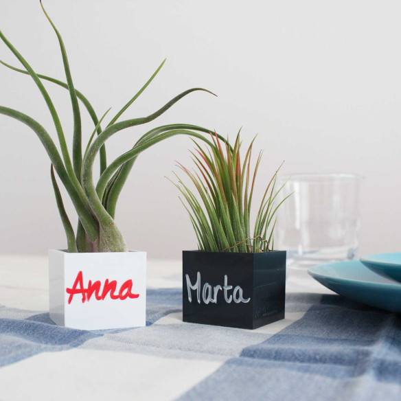 Kalamitica Cubo Magnetico 3,5 Cm Con Tillandsia Ionantha