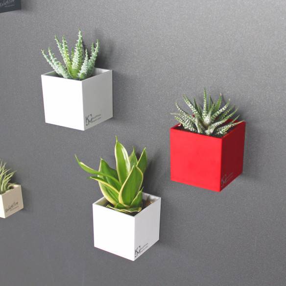 Kalamitica Assortimento Di Cubi Magnetici Ø 6 Cm