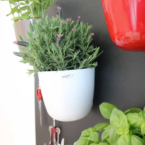 Kalamitica Boule Magnetica Ø 15 Cm