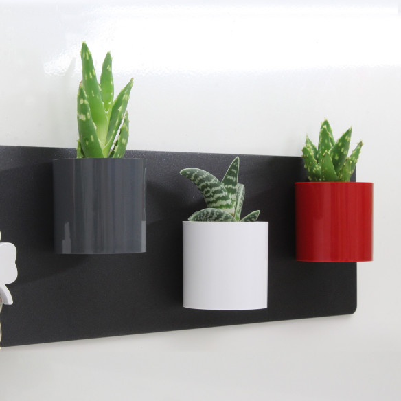 Kalamitica Cilindro Magnetico Ø 6 Cm