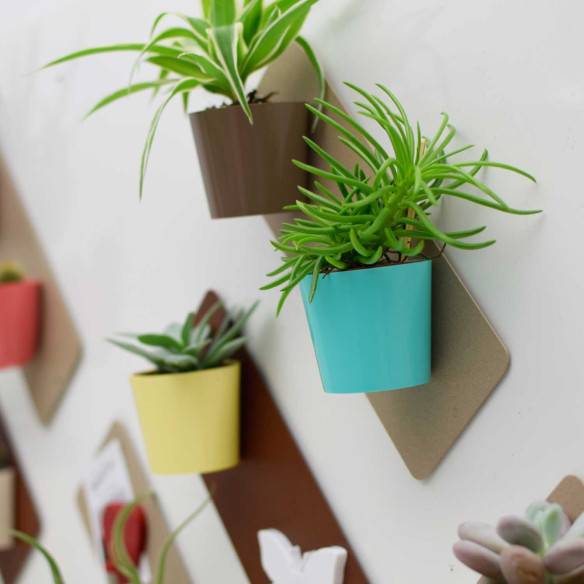 Kalamitica Cono Magnetico Ø 6 Cm