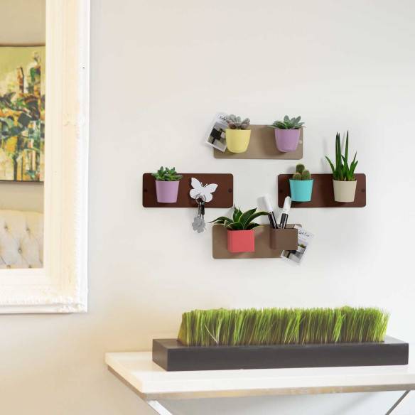 Kalamitica Cono Magnetico Ø 6 Cm