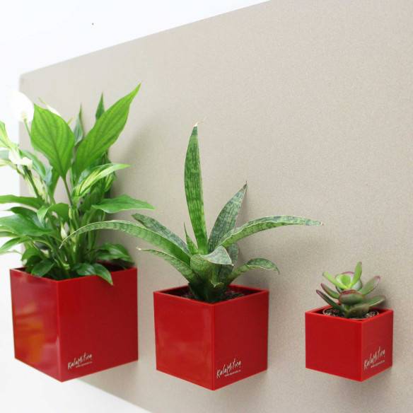 Kalamitica Cubo Magnetico 6 Cm