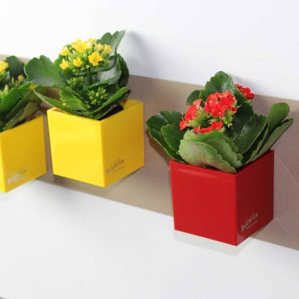 Kalamitica Cubo Magnetico 6 Cm