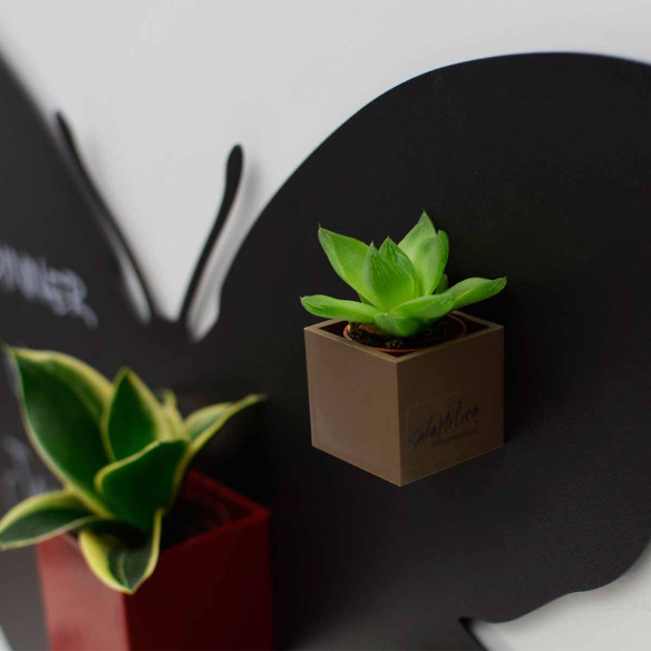 Kalamitica Cubo Magnetico Ø 3.5 Cm