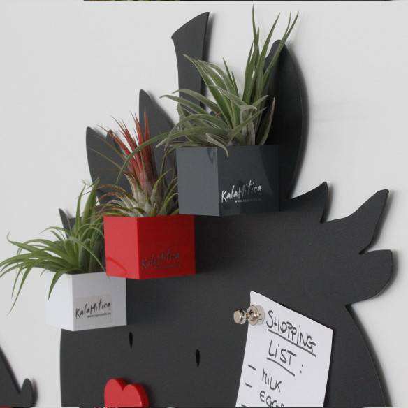 Kalamitica Fragola - Lavagna Magnetica 56x38 Cm