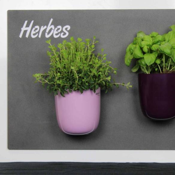 Kalamitica Herbes - Lavagna Magnetica Con Incisione