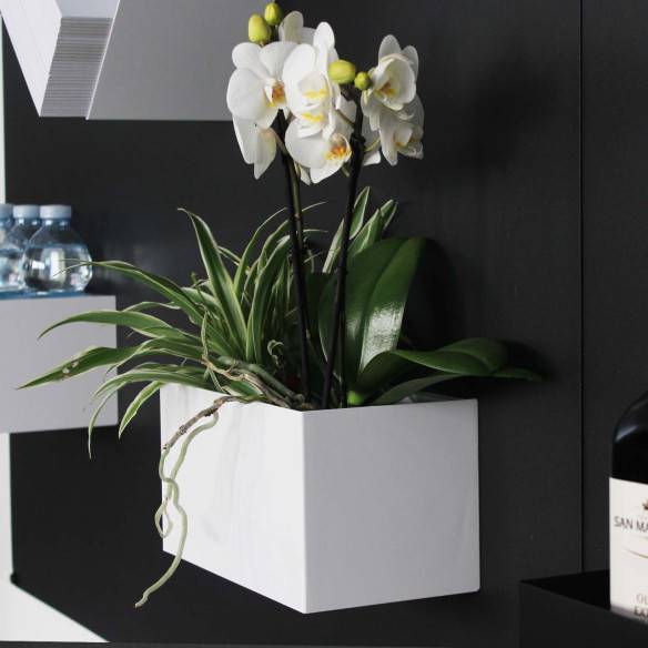 Kalamitica Hermes - Contenitore Magnetico In Acciaio