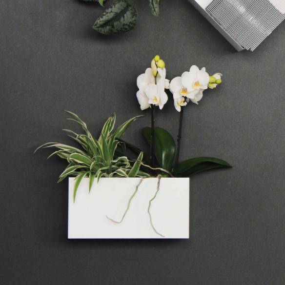 Kalamitica KALAMITICA +, Idea Per Un Ufficio Contemporaneo