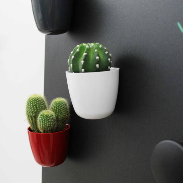 Kalamitica KIT ANDY, Soluzione Ingresso Moderno